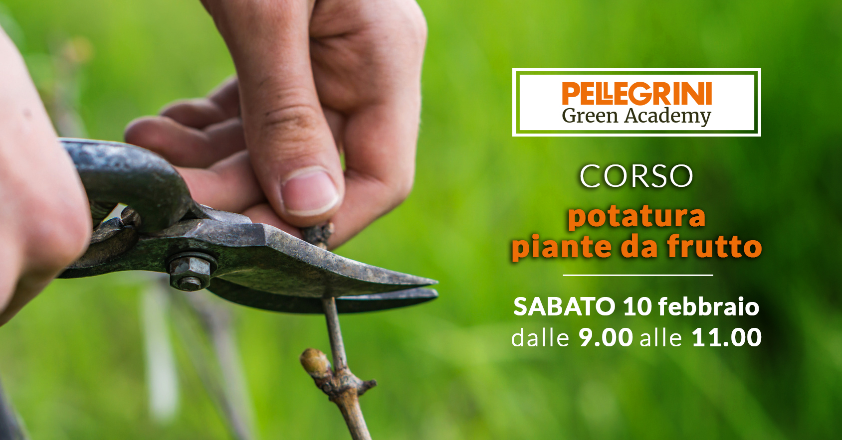corso potatura alberi da frutto