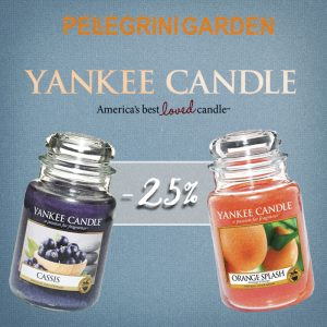 fragranze del mese yankee candle