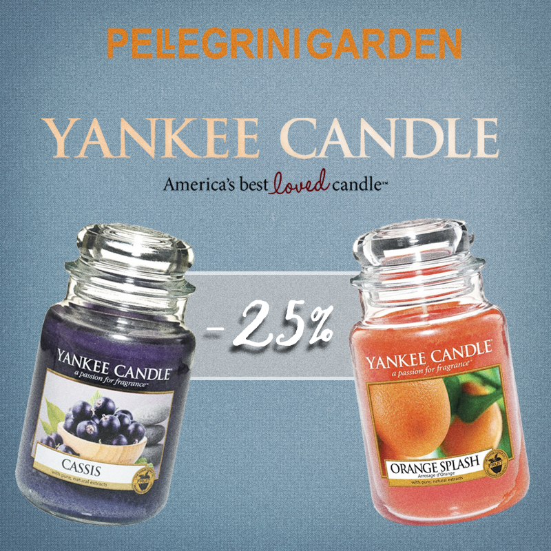 Fragranza del mese Yankee Candle DICEMBRE - Giardineria