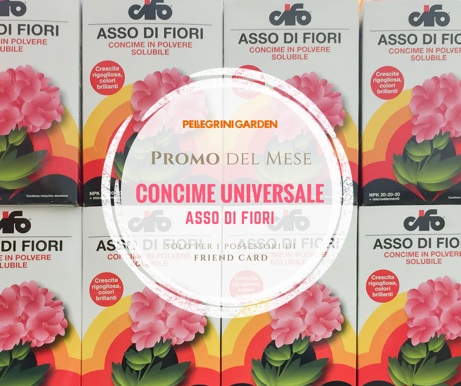 Promo del mese - concime universale