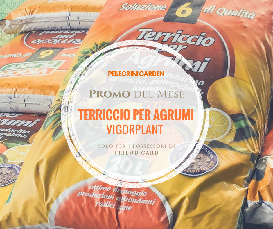 promo del mese - terriccio per agrumi