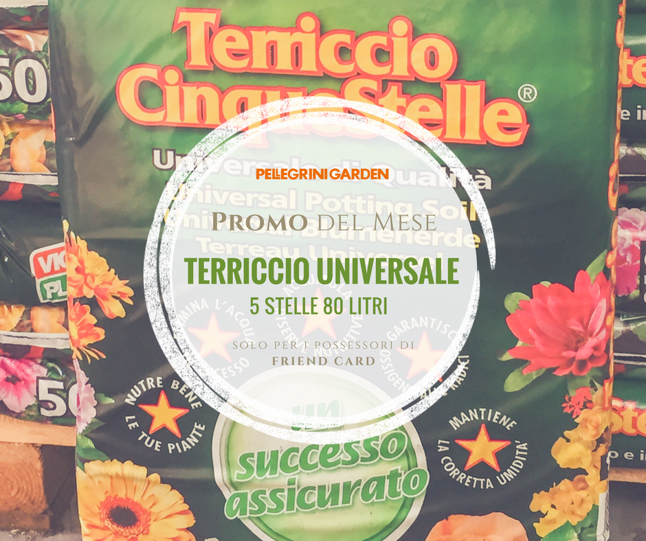 Promo del mese - terriccio universale