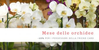 IL MESE DELLE orchidee