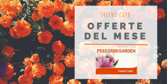 offerte del mese di aprile