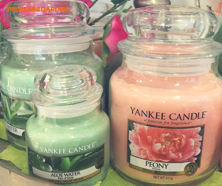 Yankee candle fragranze aloe water