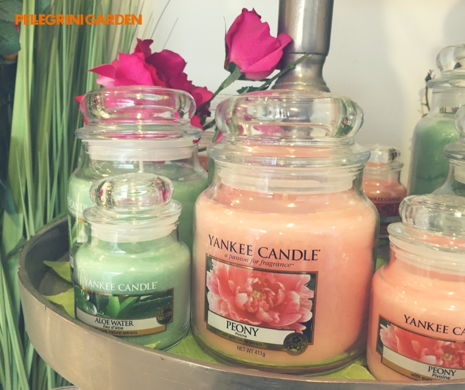 Yankee candle frangranze peony