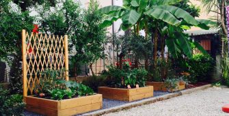 come realizzare un giardino -orto