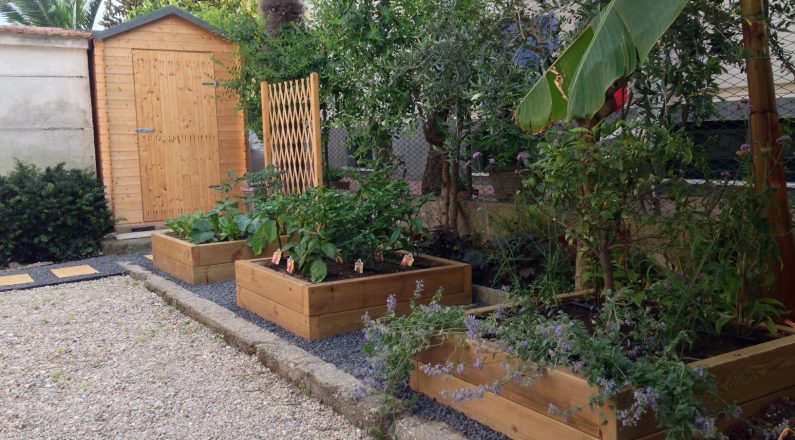 come realizzare un giardino - le piante aromatiche