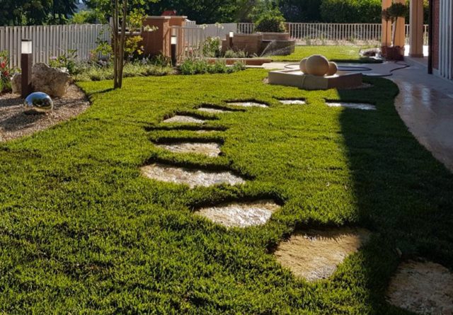 giardino feng shui