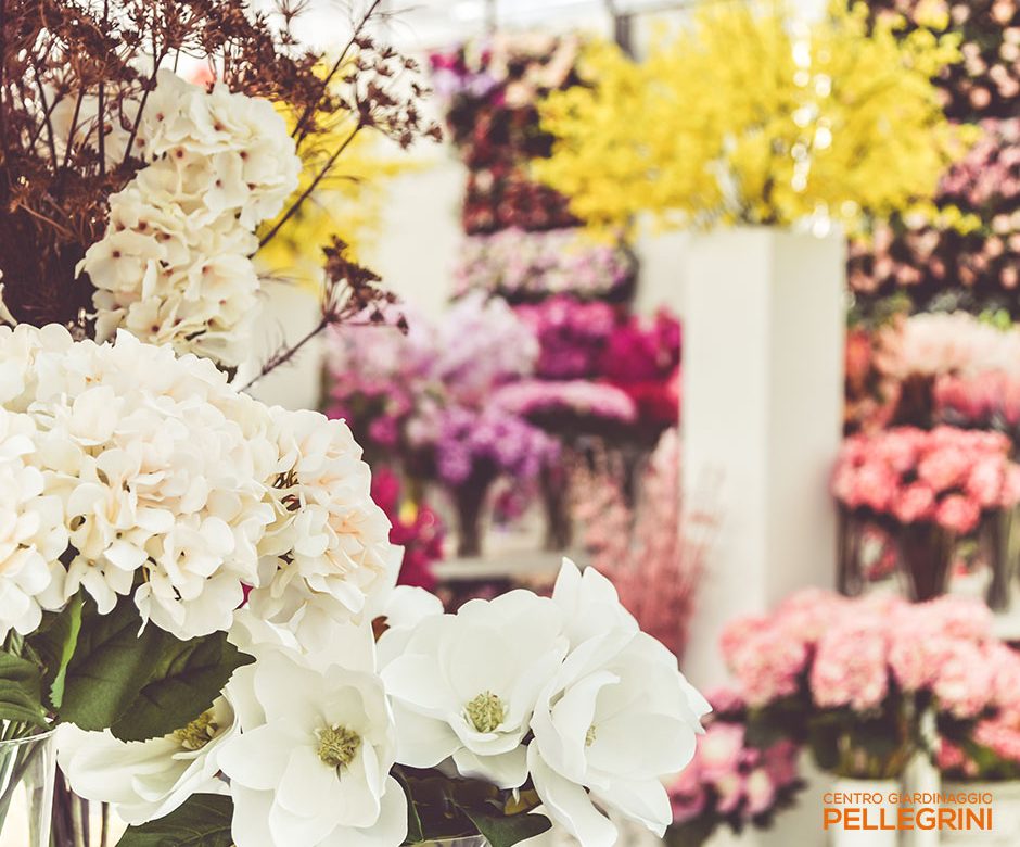 nuova sede pellegrini garden accessori fiori