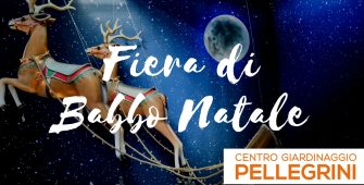 fiera di babbo natale centro giardinaggio pellegrini