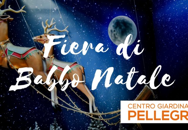 fiera di babbo natale centro giardinaggio pellegrini