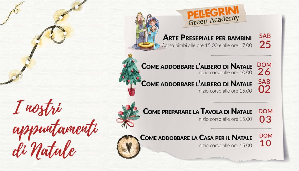 Appuntamenti-di-natale-Pellegrini-Green-Academy