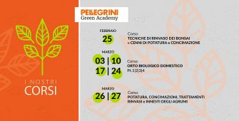 Programma corsi Pellegrini Academy