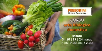 corso orto biologico domestico