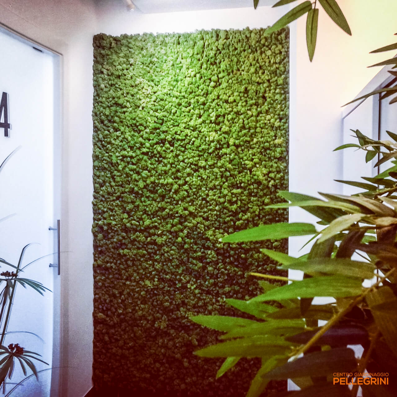 realizzazione MOSS WALL_4