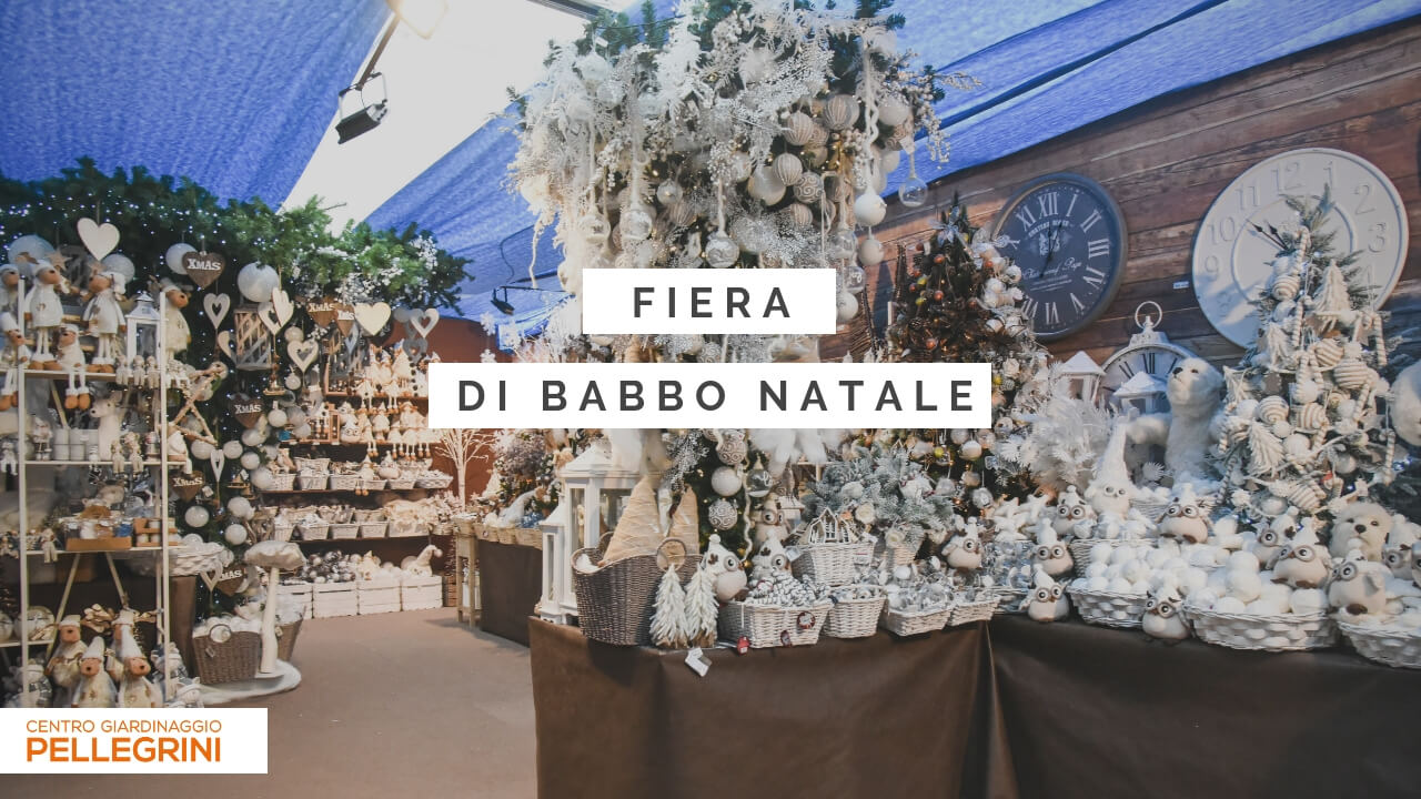 fiera di babbo natale centro giardinaggio pellegrini
