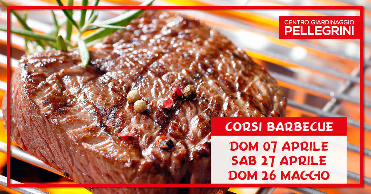 corsi_barbecue_pellegrini_copertina