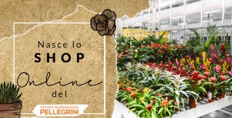 shop-online-centro-giardinaggio-pellegrini