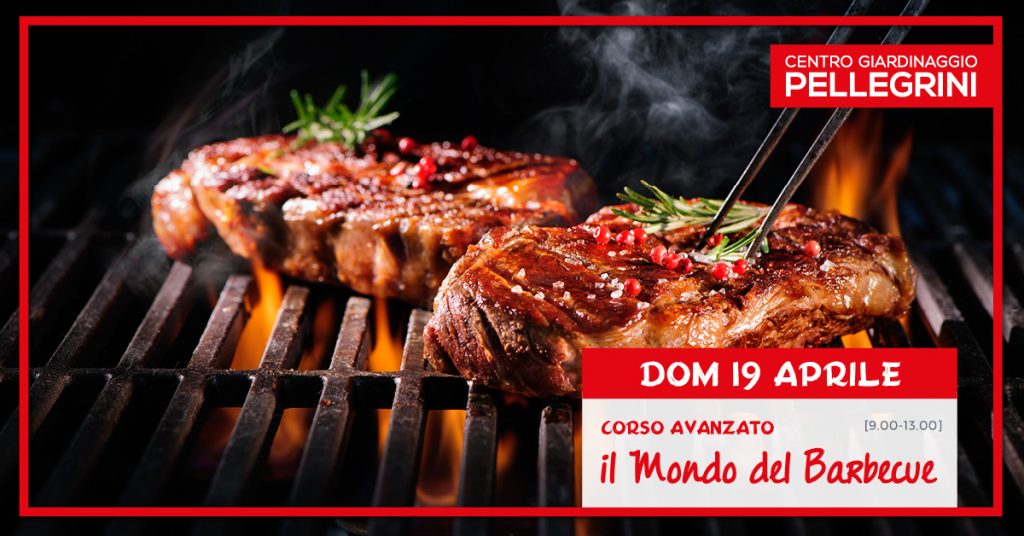 corso-il-mondo-del-barbecue-Pellegrini