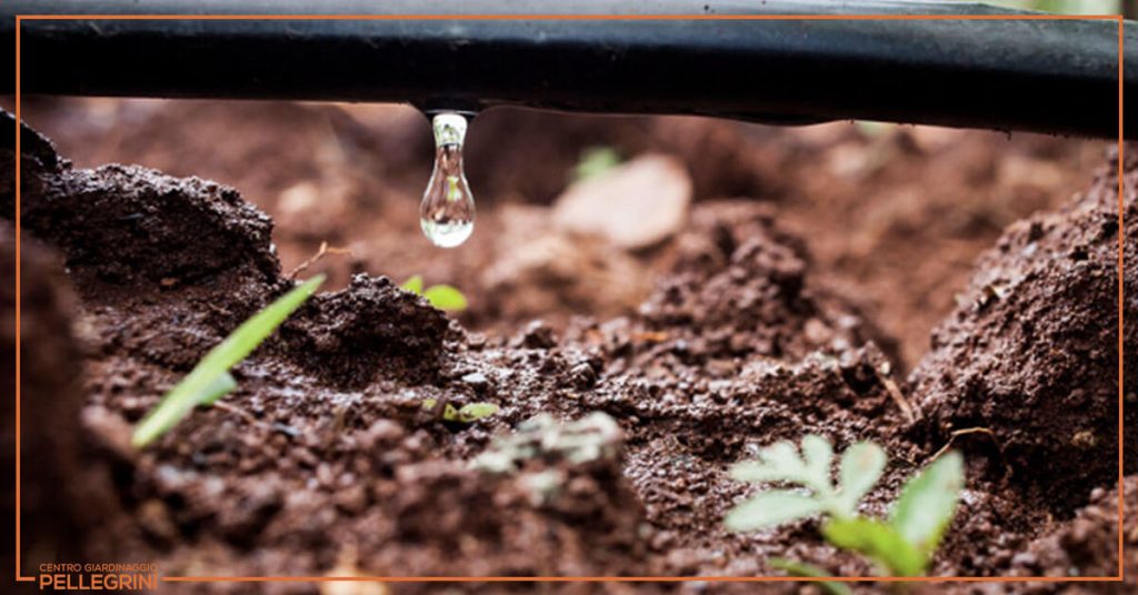 irrigazione-orto-sul-terrazzo