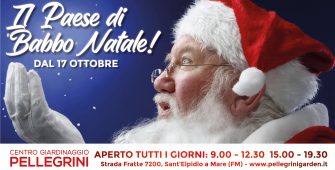 paese-di-babbo-Natale-Centro-Giardinaggio-Pellegrini