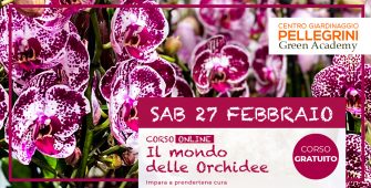 corso-online-orchidee