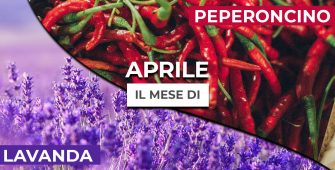 aprile-mese-peperoncino-e-lavanda