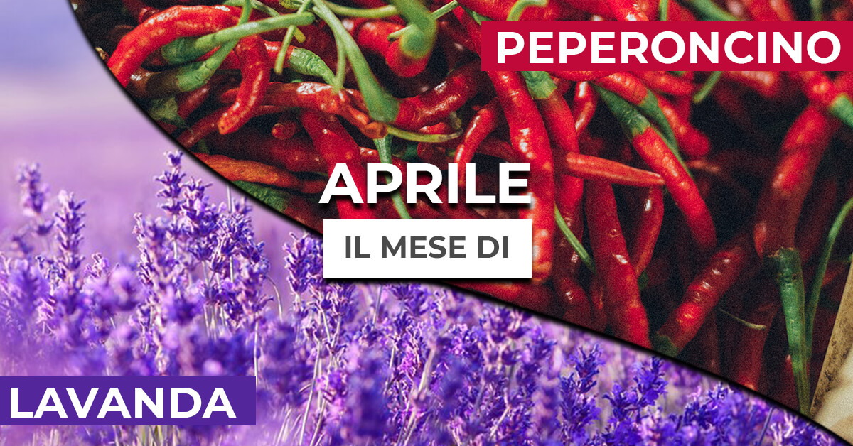 aprile-mese-peperoncino-e-lavanda