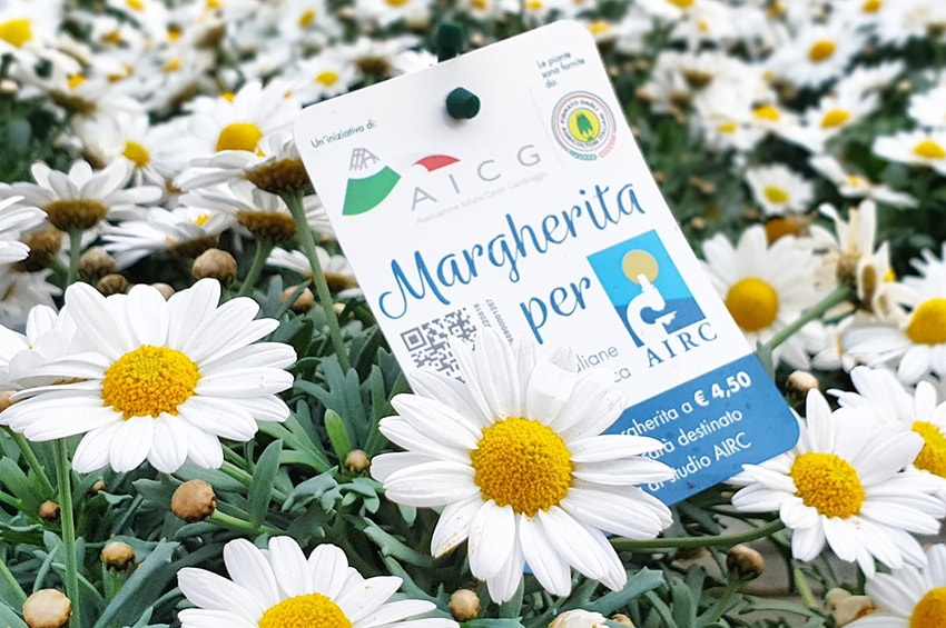 lotta_tumori-Margherita_per_Airc_2019-min