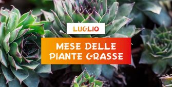 mese-delle-piante-grasse-centro-giardinaggio-pellegrini