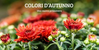 autunno-colori-nuova-primavera