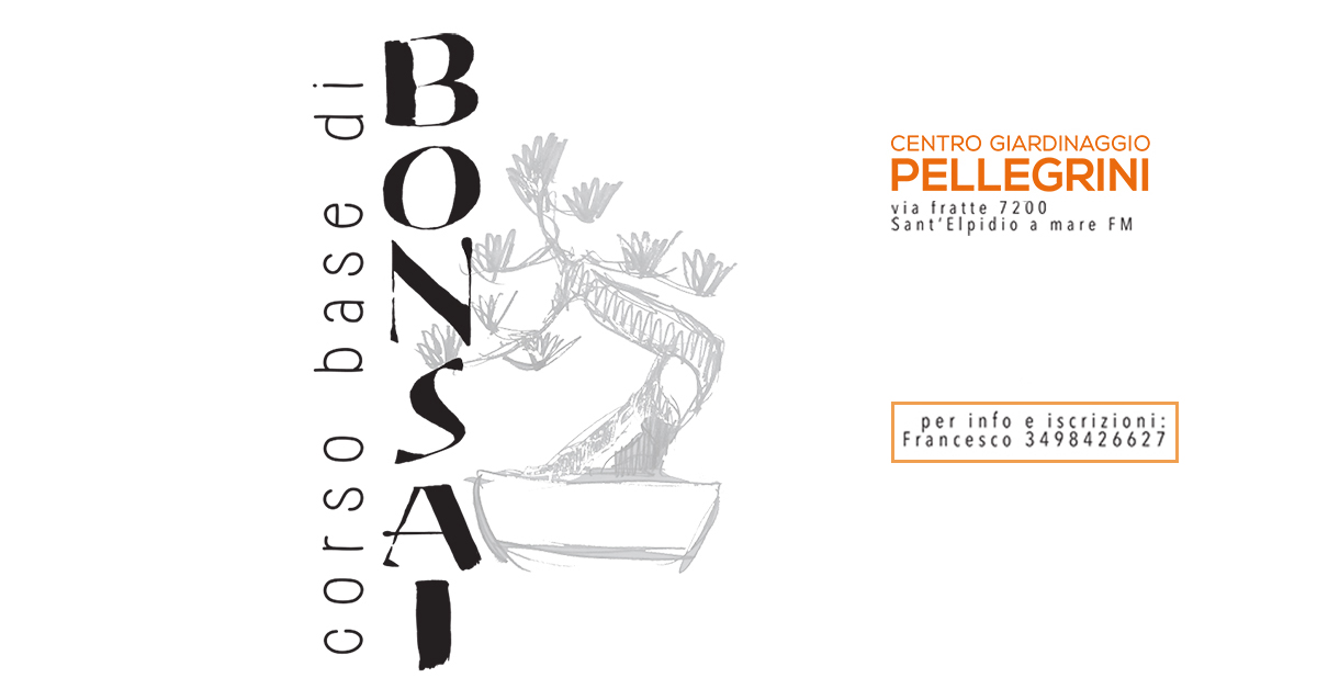 corso-bonsai-pellegrini