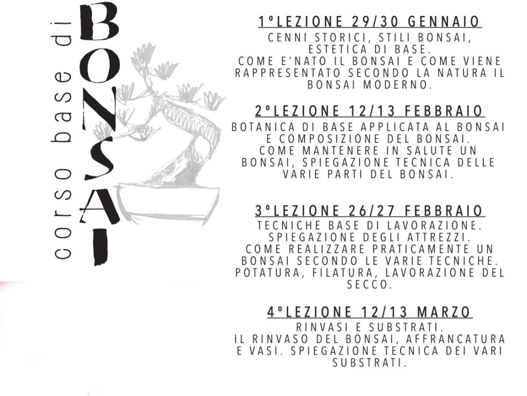 programma-corso-bonsai-pellegrini