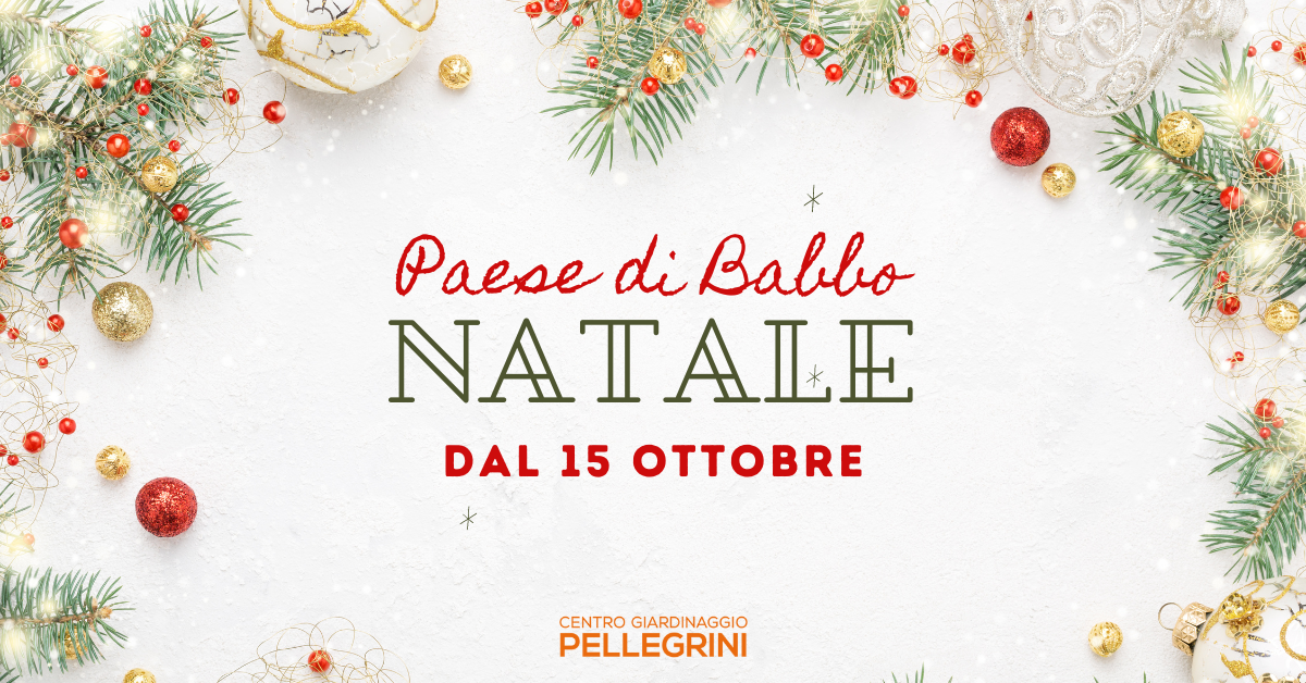 Pease-babbo-natale-2022-pellegrini