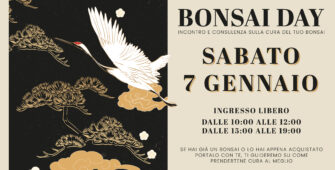 bonsa-day-7-gennaio-pellegrini