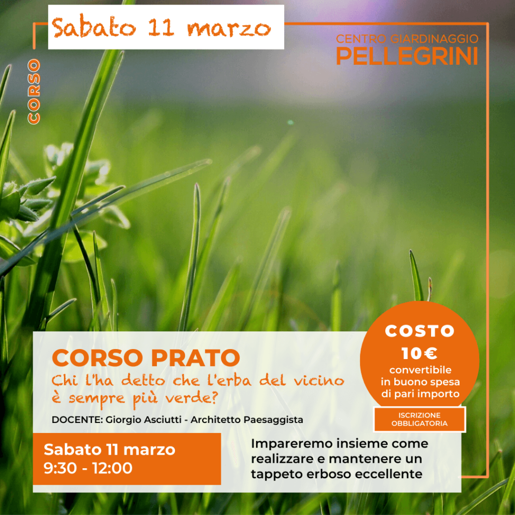 corso-prato-centro-giardinaggio-pellegrini-11-marzo-2023