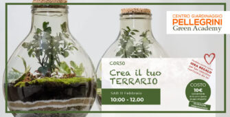 corso-crea-il-tuo-terrarium-centro-giardinaggio-pellegrini