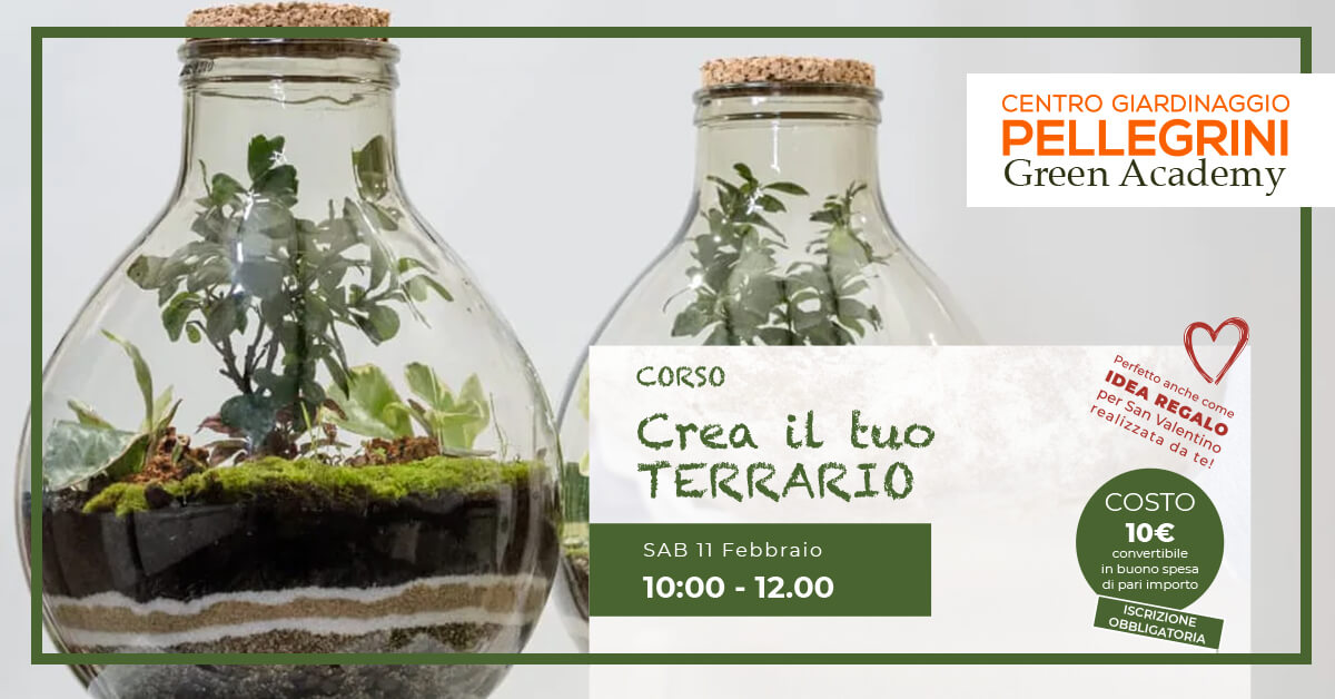 corso-crea-il-tuo-terrarium-centro-giardinaggio-pellegrini