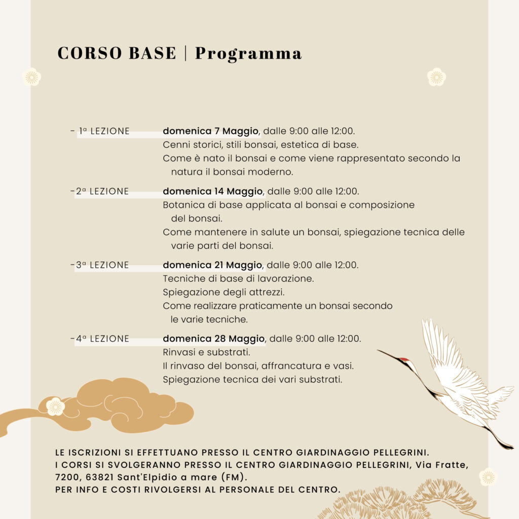 corso-arte-del-bonsai-centro-giardinaggio-pellegrin