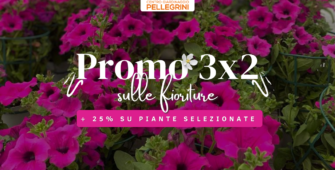 promo-3x2-fioriture-centro-giardinaggio-pellegrini