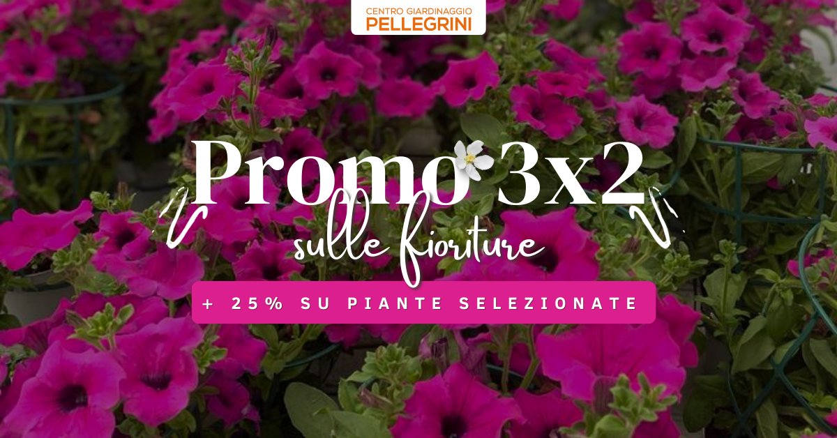 promo-3x2-fioriture-centro-giardinaggio-pellegrini