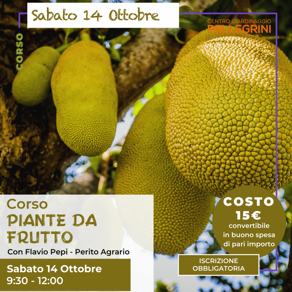 corso-piante-da-frutto-2023-pellgrini