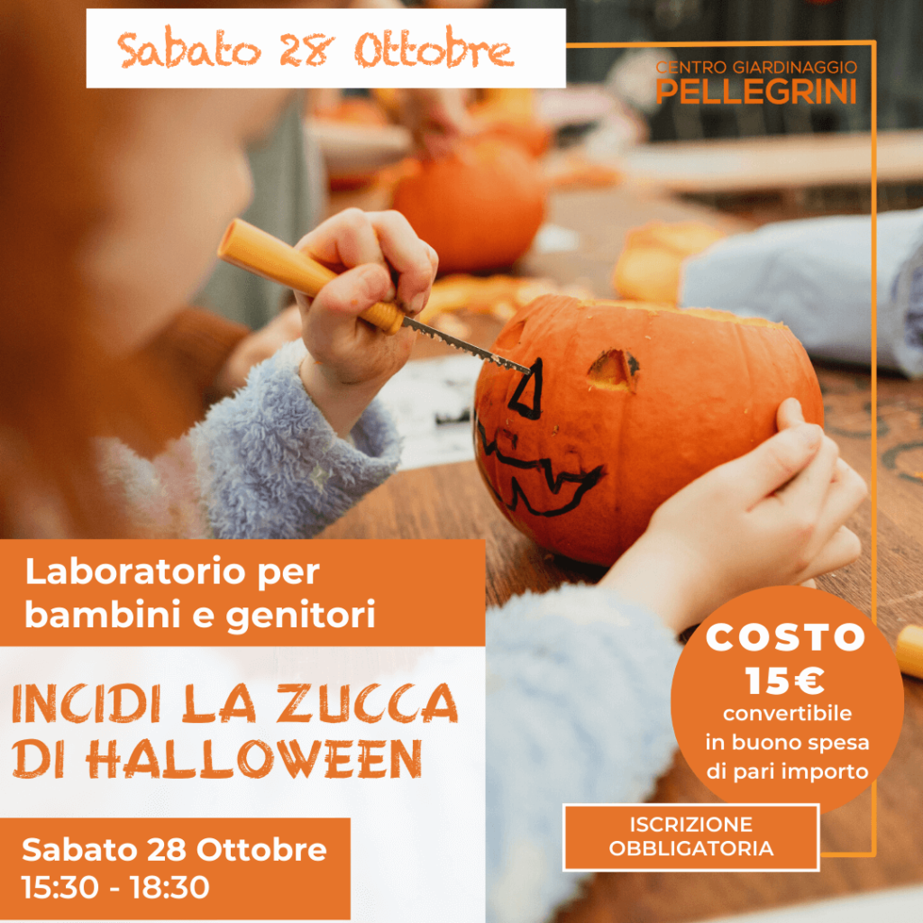 corso-zucca-halloween-2023-pellgrini