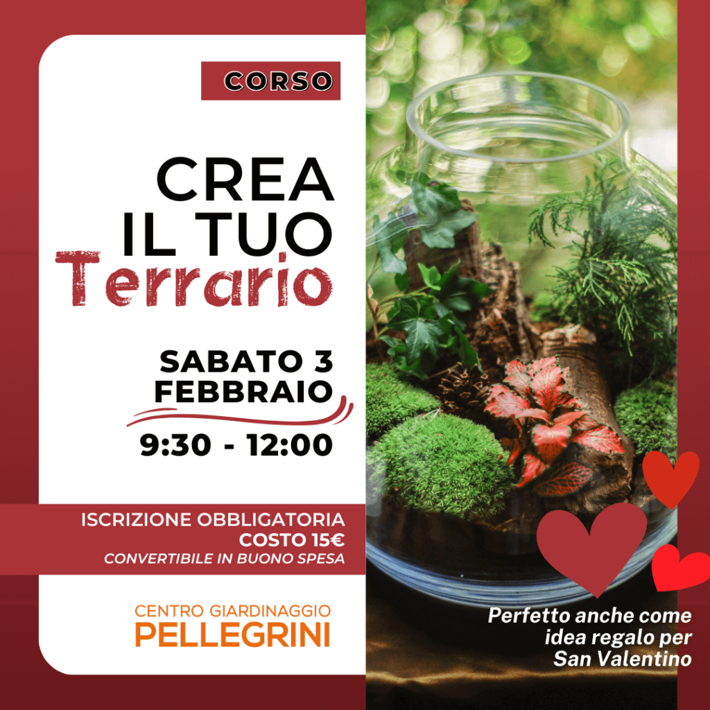 corso-crea-il-tuo-terrario-2024-centro-giardinaggio-pellegrini