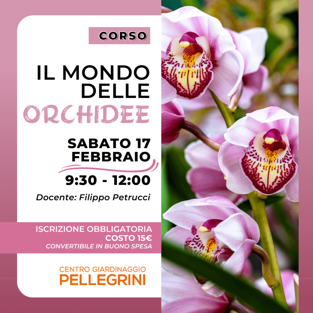 corso-orchidee-2024-centro-giardinaggio-pellegrini