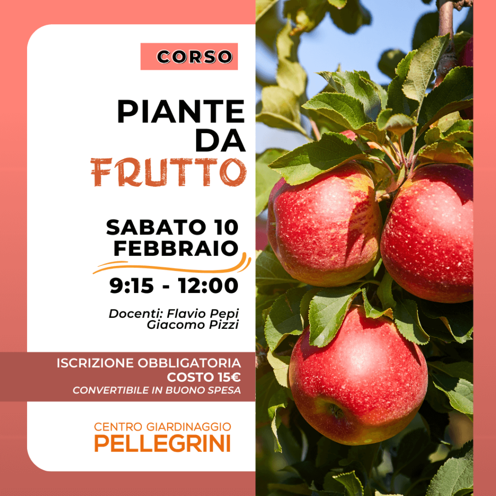 corso-piante-da-frutto-2024-centro-giardinaggio-pellgrini