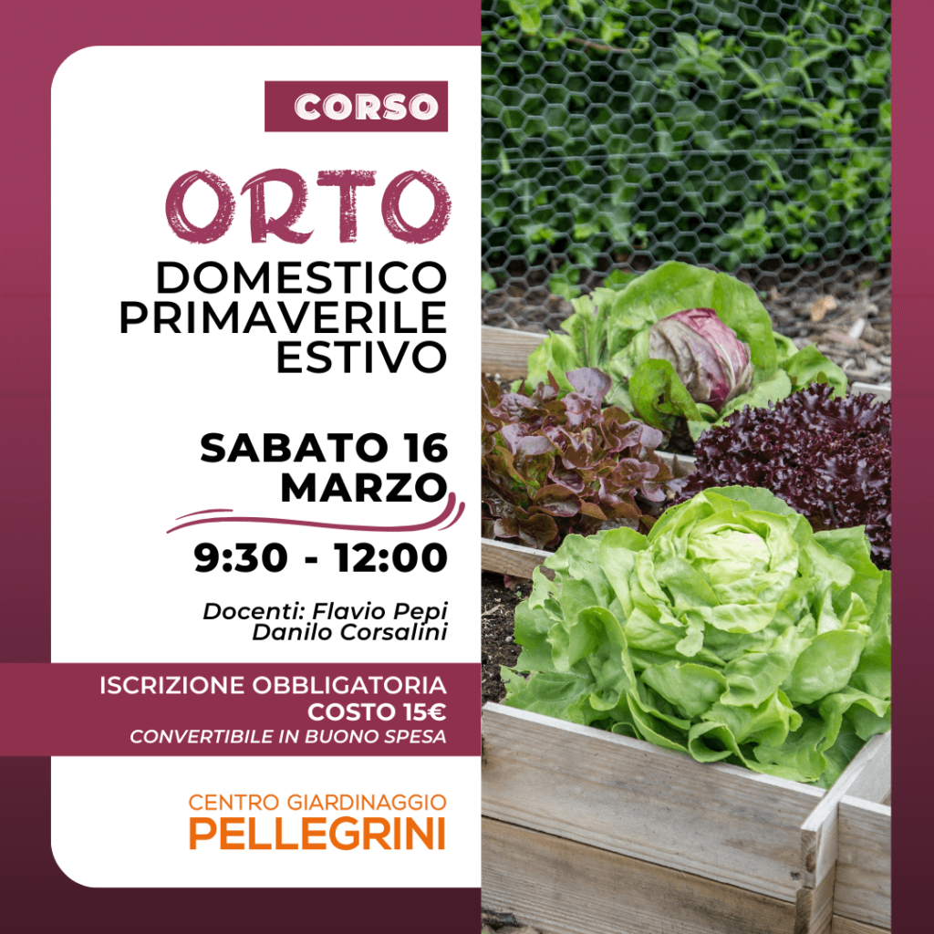 corso-orto-primaverile-estivo-pellegrini