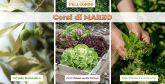 corsi-marzo-centro-giardinaggio-pellegrini-cover