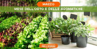 marzo-mese-orto-aromatiche-centro-giardinaggio-pellegrini